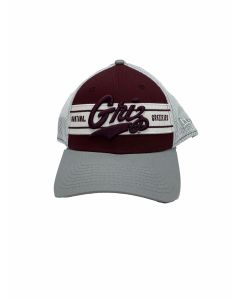 New Era University of Montana Grizzlies 3930 Team Banded NEBANDEDUM22